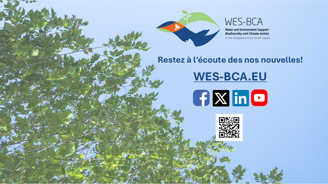 Phase de démarrage du projet WES-BCA