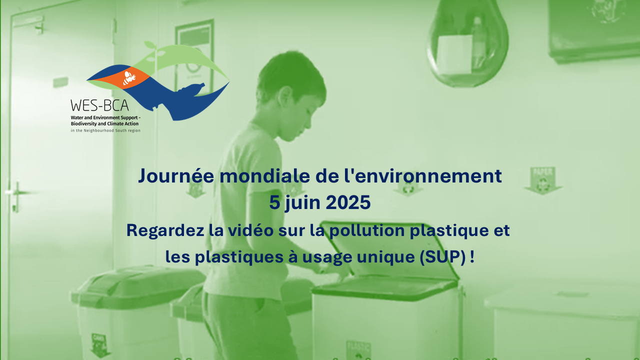 👉🌍🌻🌿Journée mondiale de l'environnement | 5 juin 2025