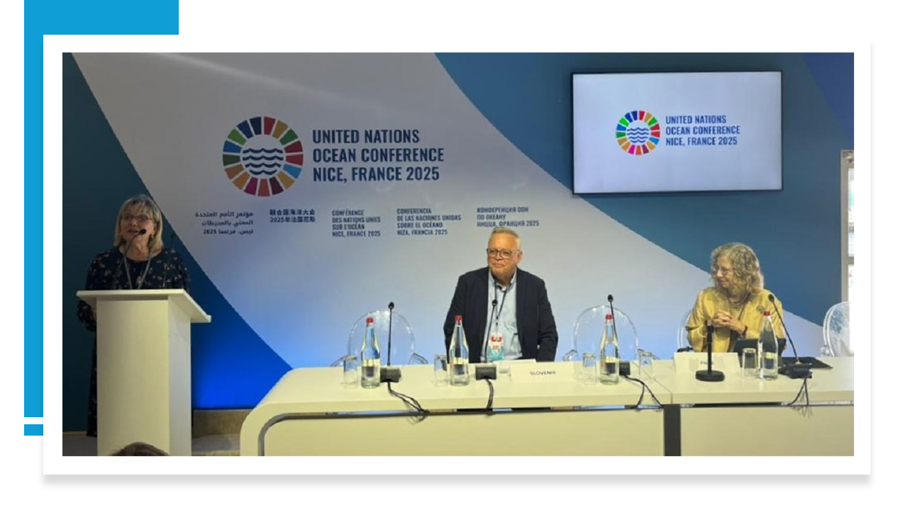 UN Ocean Conference - Mediterranean Day Ministers' Declaration (Nice, France, 10/06/2025)