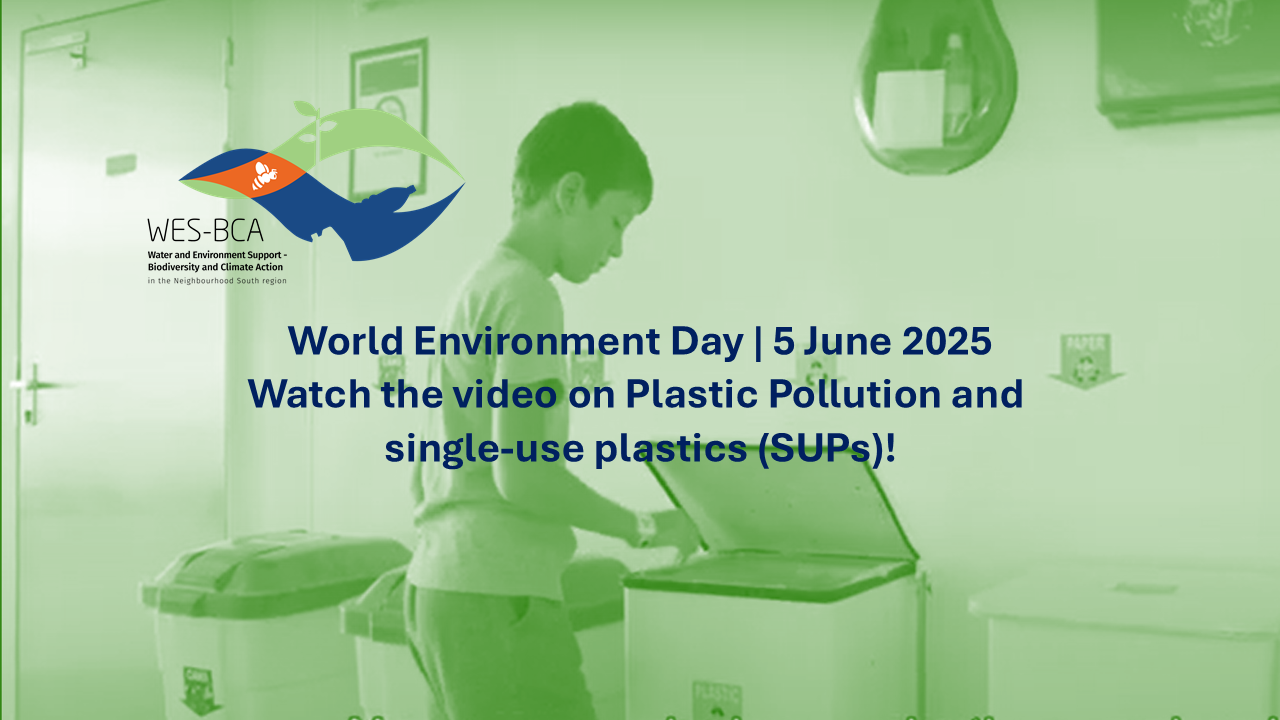 👉🌍🌻🌿World Environment Day | 5 June 2025