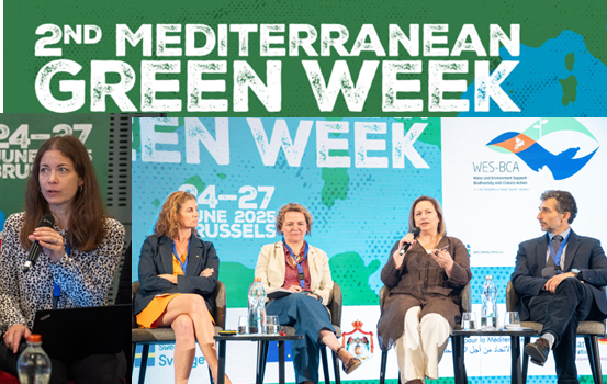 WES-BCA at the 2nd UfM Med Green Week, June 2025