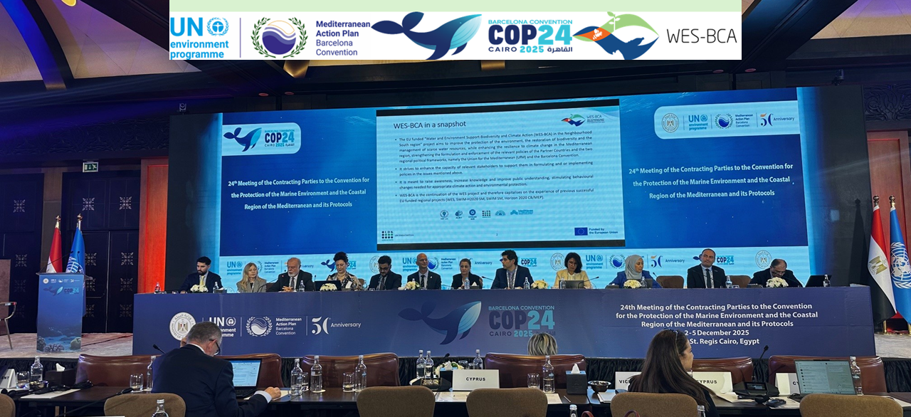 WES-BCA Project presentation at the COP24 Cairo Side Event