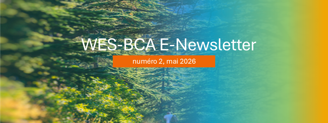 Le bulletin d’information électronique WES-BCA de mai 2026