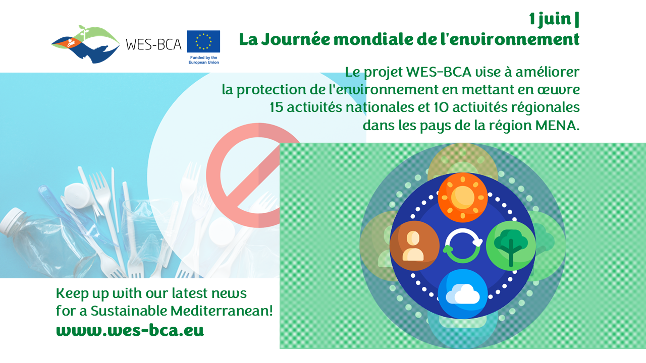 1 juin | La Journée mondiale de l'environnement