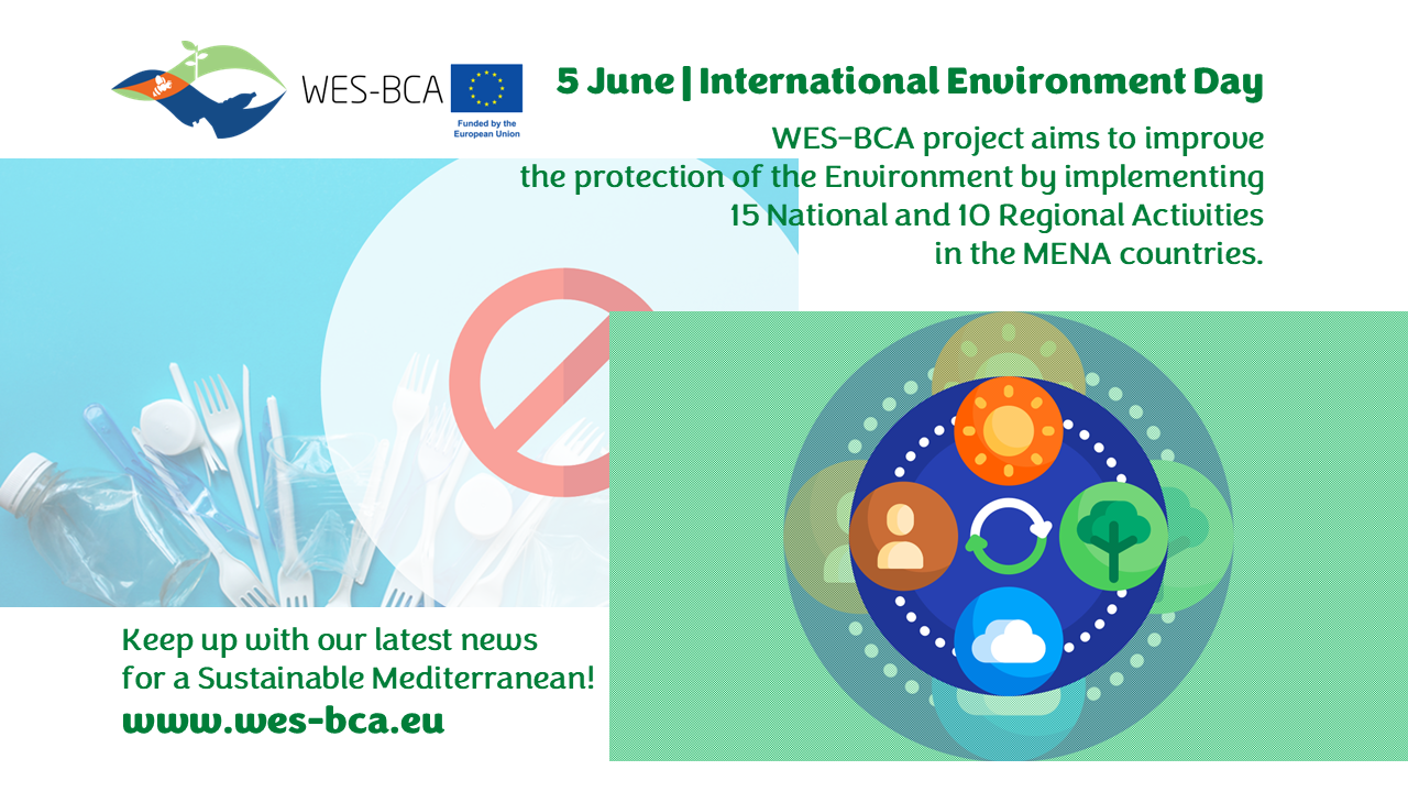 5 June | International Environment Day